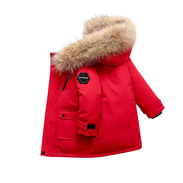 ArcticCub