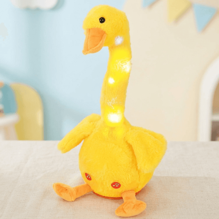 EchoDuck