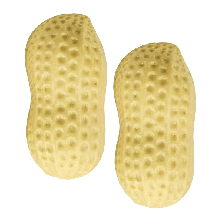 NutSqueeze